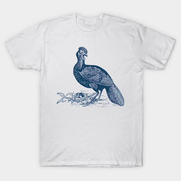 The Egg T-Shirt by After Daylight Project